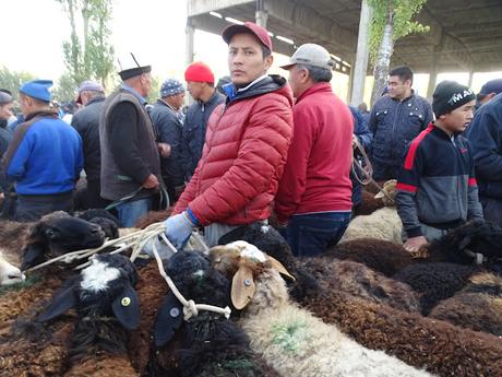 KIRGUISTÁN: EL MERCADO DE ANIMALES DE MALBAZAAR KIRGUISTÁN: EL MERCADO DE ANIMALES DE MALBAZAAR