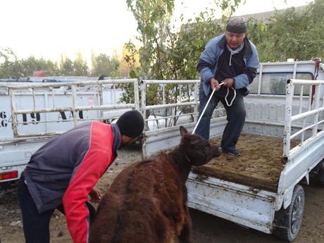 KIRGUISTÁN: EL MERCADO DE ANIMALES DE MALBAZAAR