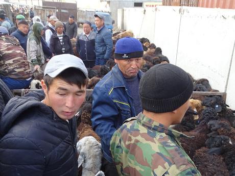 KIRGUISTÁN: EL MERCADO DE ANIMALES DE MALBAZAAR KIRGUISTÁN: EL MERCADO DE ANIMALES DE MALBAZAAR
