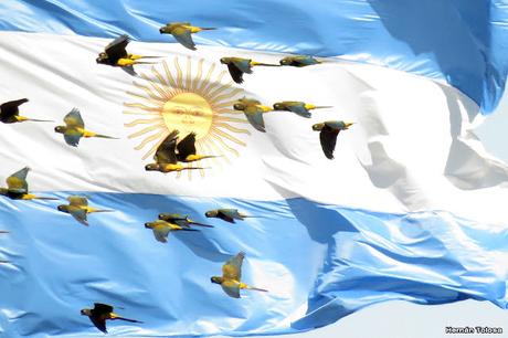 Lo más destacado de 2022