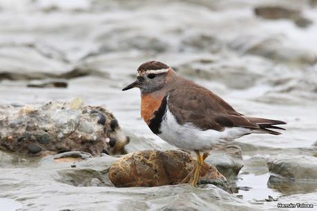 Lo más destacado de 2022