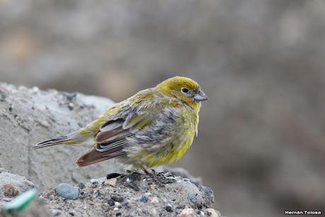 Lo más destacado de 2022