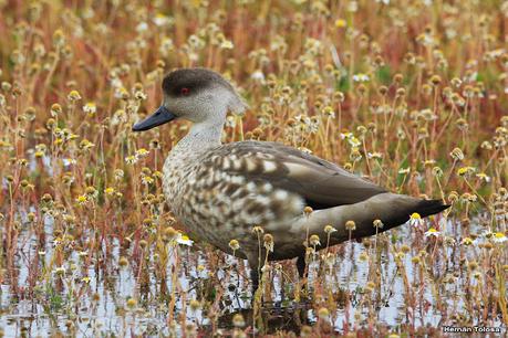 Lo más destacado de 2022