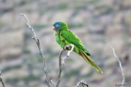 Lo más destacado de 2022