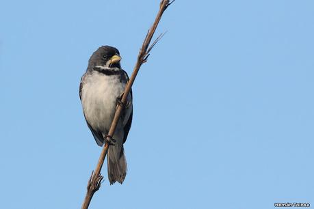 Lo más destacado de 2022