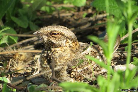 Lo más destacado de 2022