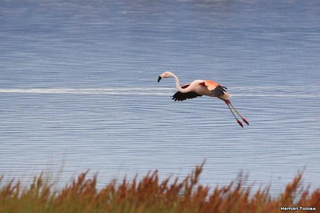 Lo más destacado de 2022
