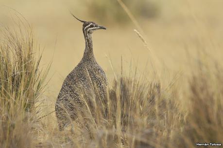 Lo más destacado de 2022