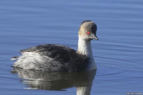Lo más destacado de 2022