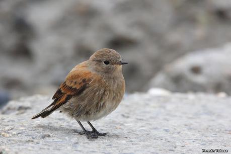 Lo más destacado de 2022