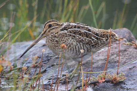 Lo más destacado de 2022