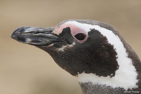 Lo más destacado de 2022