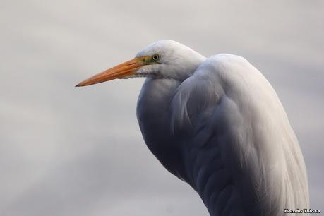 Lo más destacado de 2022