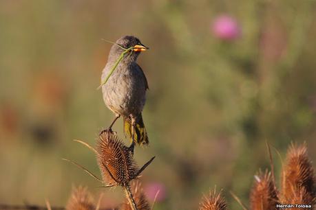 Lo más destacado de 2022