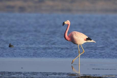 Lo más destacado de 2022