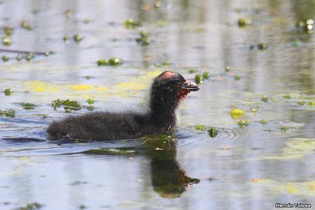 Lo más destacado de 2022