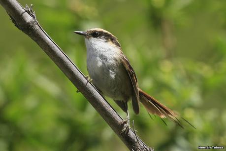 Lo más destacado de 2022
