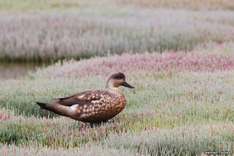 Lo más destacado de 2022