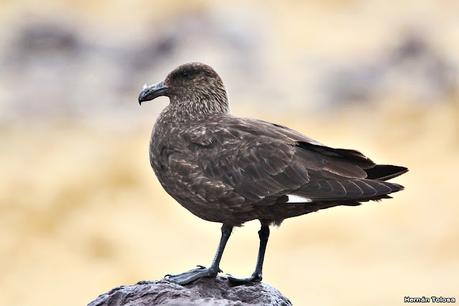 Lo más destacado de 2022