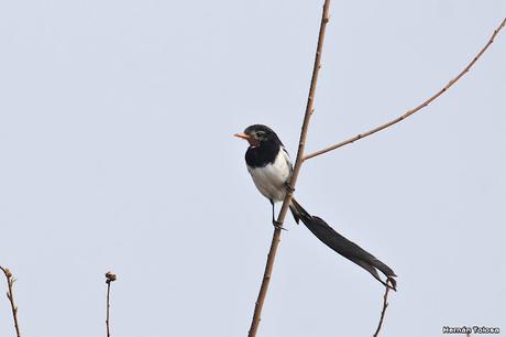 Lo más destacado de 2022