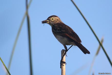 Lo más destacado de 2022