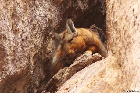 Lo más destacado de 2022