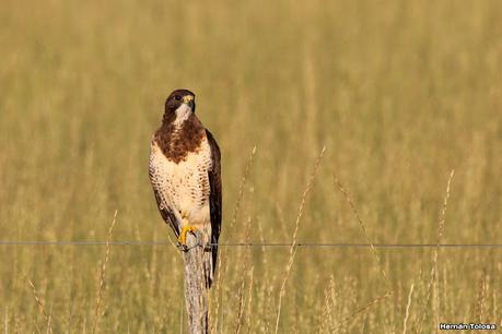 Lo más destacado de 2022