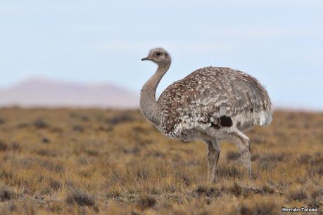 Lo más destacado de 2022