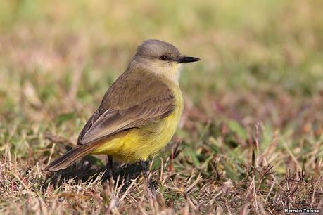 Lo más destacado de 2022