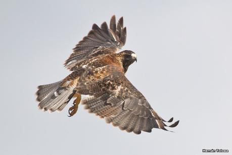 Lo más destacado de 2022