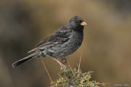 Lo más destacado de 2022