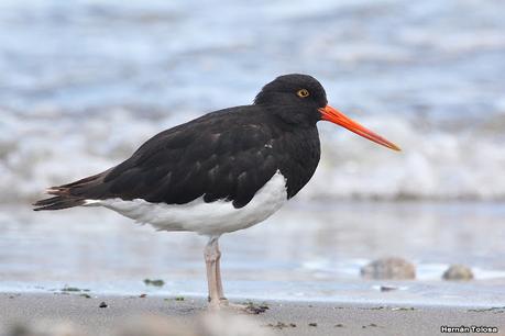 Lo más destacado de 2022