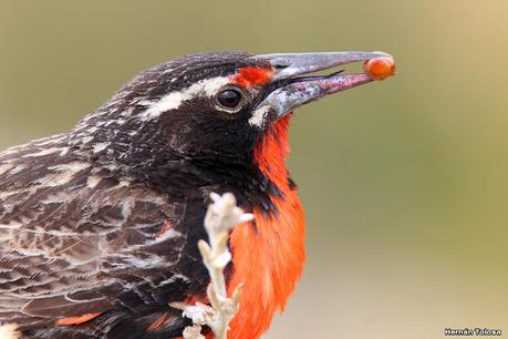 Lo más destacado de 2022