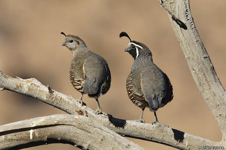 Lo más destacado de 2022