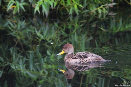 Lo más destacado de 2022