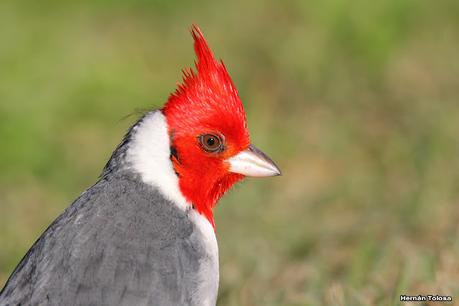 Lo más destacado de 2022