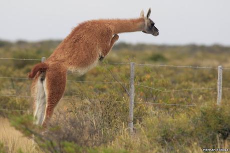 Lo más destacado de 2022