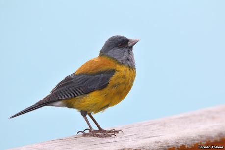 Lo más destacado de 2022