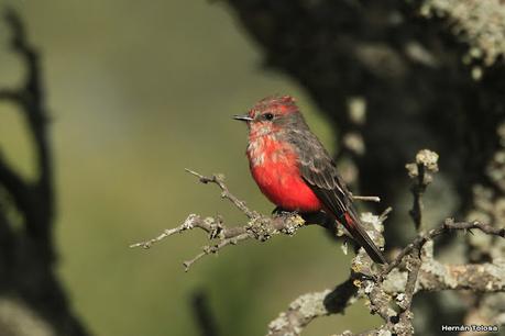 Lo más destacado de 2022