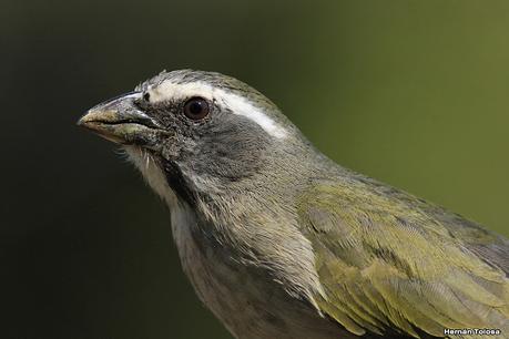 Lo más destacado de 2022