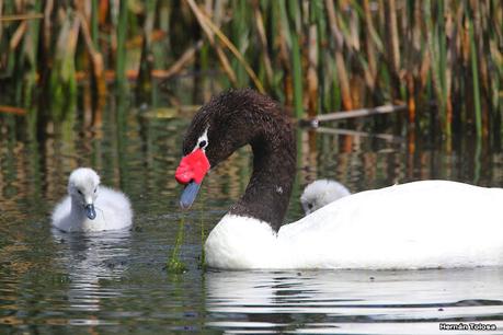 Lo más destacado de 2022
