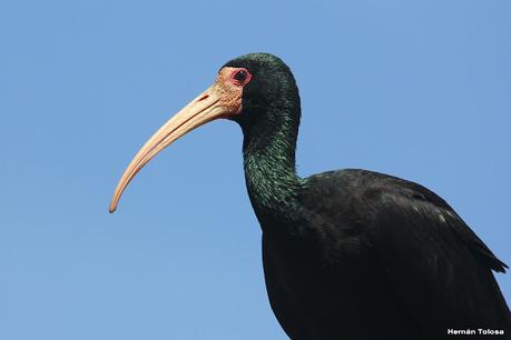 Lo más destacado de 2022