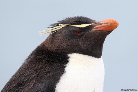 Lo más destacado de 2022