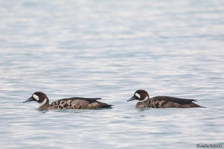 Lo más destacado de 2022