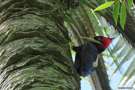 Lo más destacado de 2022