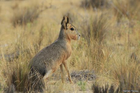 Lo más destacado de 2022