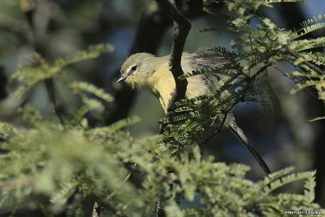 Lo más destacado de 2022