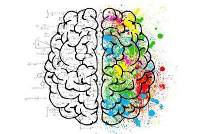 ¿Cuántos años tiene su cerebro, en realidad?