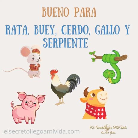 Relaciones con el mes del Buey