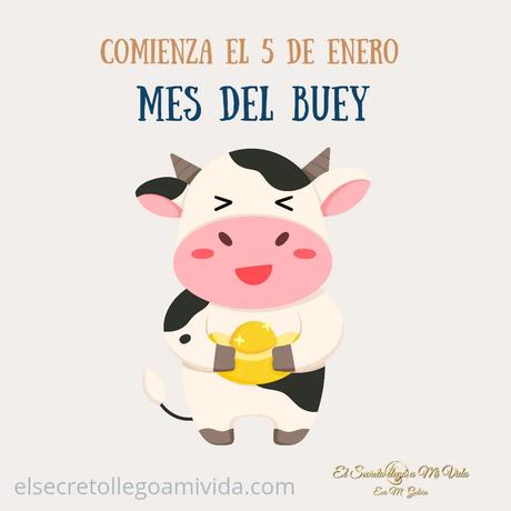 Relaciones con el mes del Buey